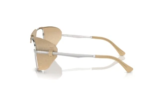 Vue latérale Persol PO1013SZ (1155GH)