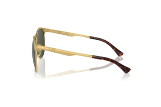 Vue latérale Persol PO1016S (515/31)