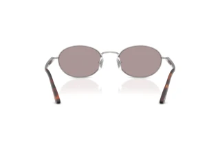 Vue arrière Persol IDA (PO1018S - 102153)