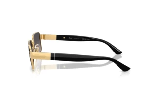 Vue latérale Persol PO1022S (515/M3)