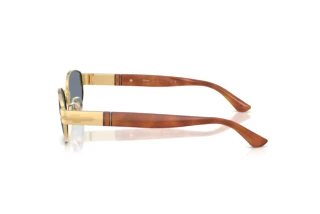 Vue latérale Persol PO1024S (113256)