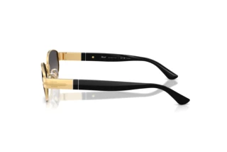 Vue latérale Persol PO1024S (515/M3)