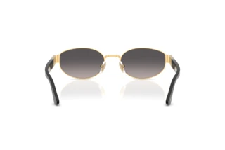 Vue arrière Persol PO1024S (515/M3)