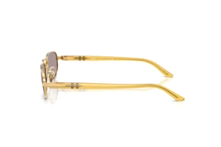 Vue latérale Persol PO1028S (112953)