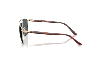 Vue latérale Persol PO1031S (1076R5)