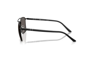 Vue latérale Persol PO1031S (1078B1)