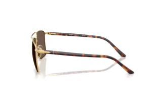 Vue latérale Persol PO1031S (11568T)