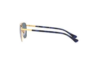 Vue latérale Persol PO2494S (114156)