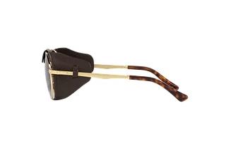 Vue latérale Persol PO2496SZ (114057)