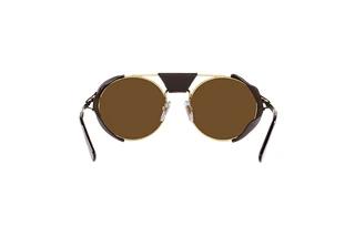 Vue arrière Persol PO2496SZ (114057)