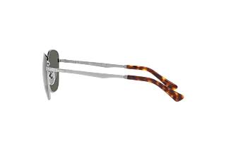 Vue latérale Persol PO2497S (513/58)