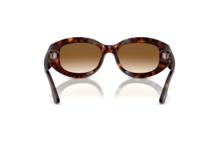 Vue arrière Persol PO3335S (24/51)