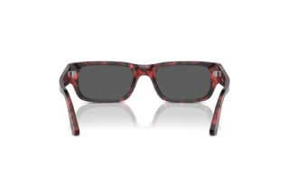 Vue arrière Persol ADRIEN (PO3347S - 1212B1)