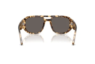 Vue arrière Persol VINCENT (PO3373S - 1056B1)