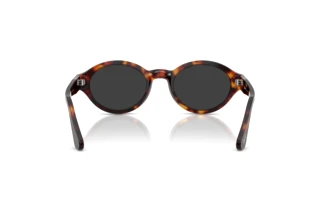 Vue arrière Persol LORIS (PO3378S - 24/48)