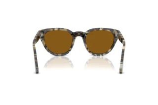 Vue arrière Persol PO3379S (107133)