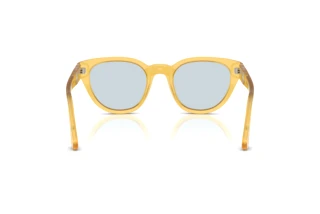 Vue arrière Persol PO3379S (204/56)