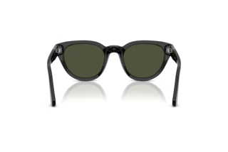 Vue arrière Persol PO3379S (95/31)