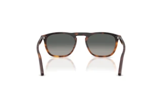 Vue arrière Persol GAE (PO3391S - 116071)
