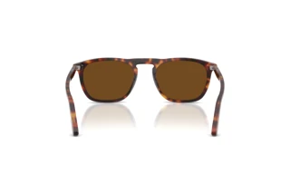 Vue arrière Persol GAE (PO3391S - 24/57)