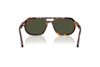 Vue arrière Persol GUIDO (PO3393S - 24/31)