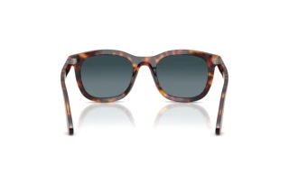 Vue arrière Persol PO3395S (24/S3)