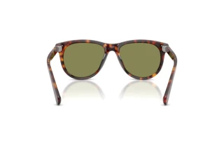 Vue arrière Persol PO3408S (24/4E)