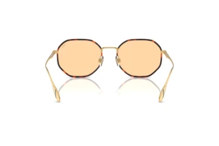 Vue arrière Polo PH3157 (9477/7)