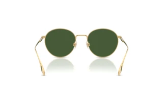 Vue arrière Polo PH3158 (941171)