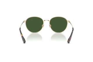 Vue arrière Polo PH3163 (928671)