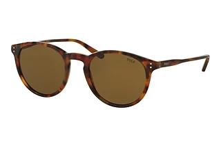 Polo PH4110 501773 OliveHavana