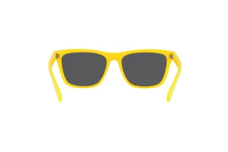 Vue arrière Polo PH4167 (542055)