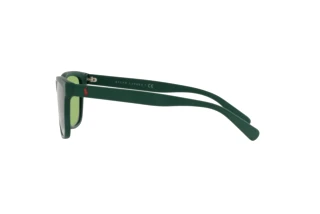 Vue latérale Polo PH4167 (5421/2)