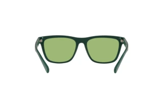 Vue arrière Polo PH4167 (5421/2)