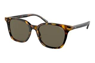 Polo PH4187 5309/3 BrownShiny Antique Tortoise