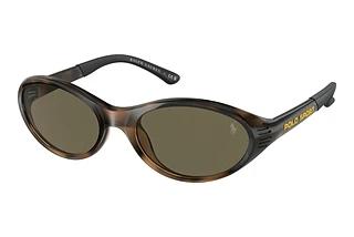 Polo PH4197U 5003/3 BrownShiny Havana