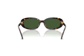 Vue arrière Polo PH4198U (500371)