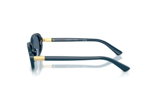 Vue latérale Polo PH4198U (546580)