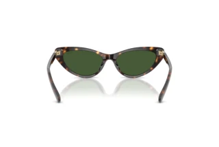 Vue arrière Polo PH4199U (500371)