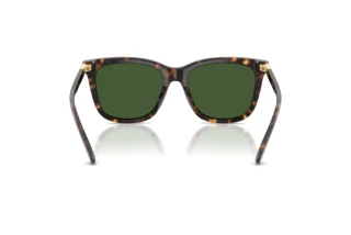 Vue arrière Polo PH4201U (500371)