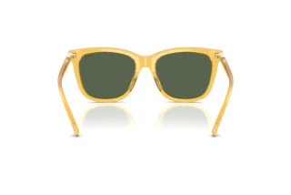 Vue arrière Polo PH4201U (500571)