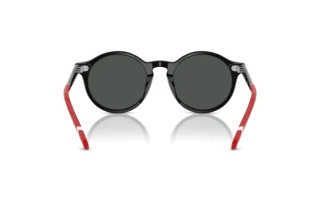 Vue arrière Polo PH4204U (562687)