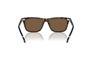 Vue arrière Polo PH4205U (500373)