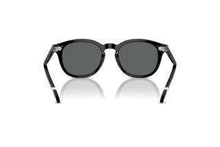 Vue arrière Polo PH4206 (500187)