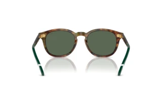 Vue arrière Polo PH4206 (501771)