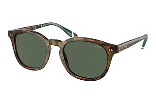 Polo PH4206 501771 Bottle GreenShiny Brown Tortoise