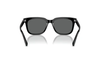 Vue arrière Polo PH4210 (500187)