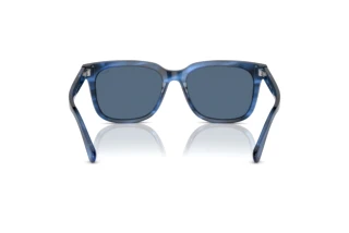 Vue arrière Polo PH4210 (613980)