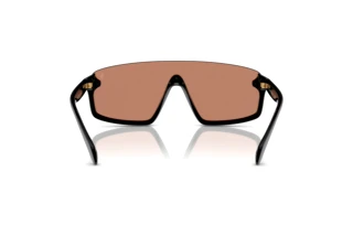 Vue arrière Polo PH4211U (50017J)