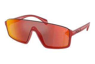 Polo PH4211U 60916Q